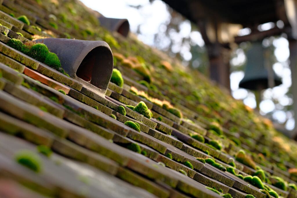 wheatertite Solutions