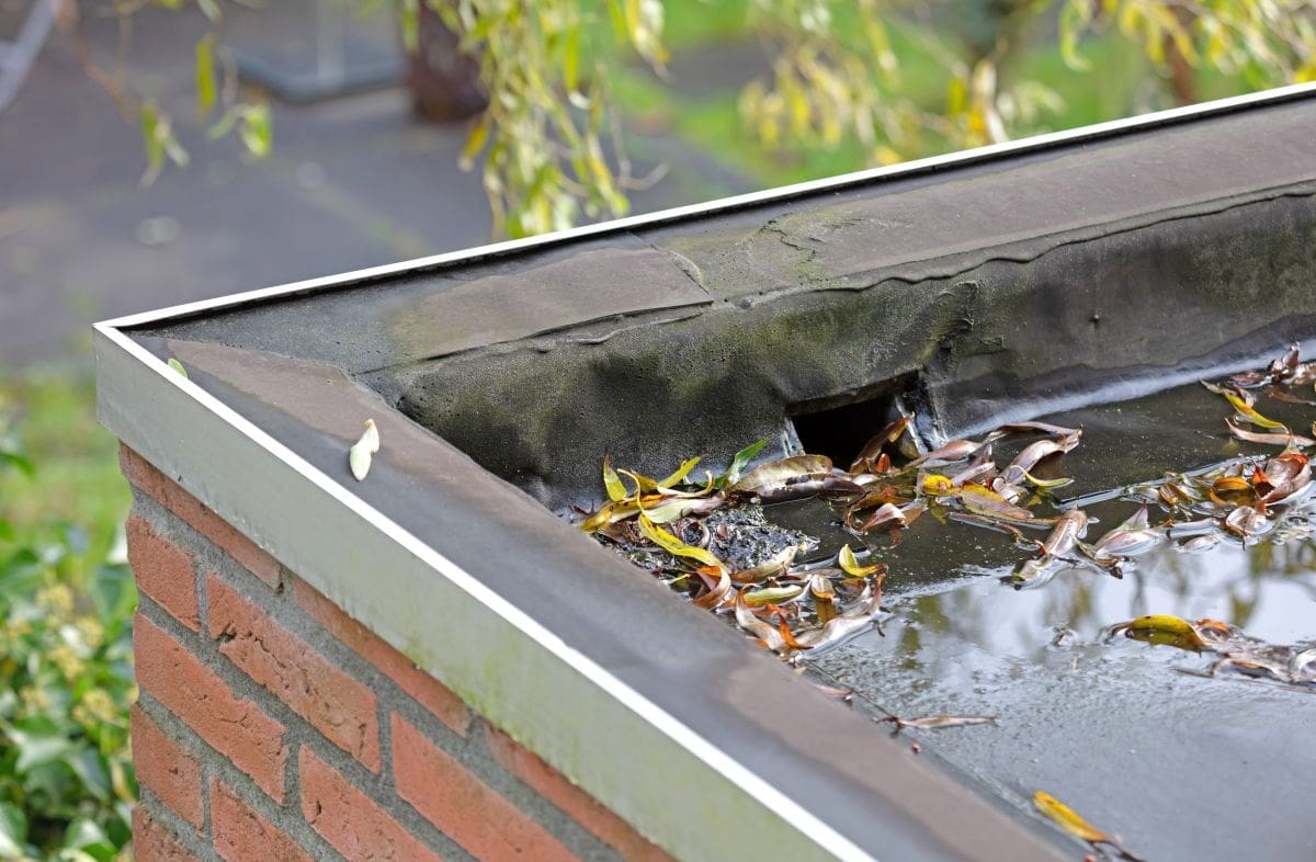 Roof Scupper: What It Is & Why It Matters For Drainage