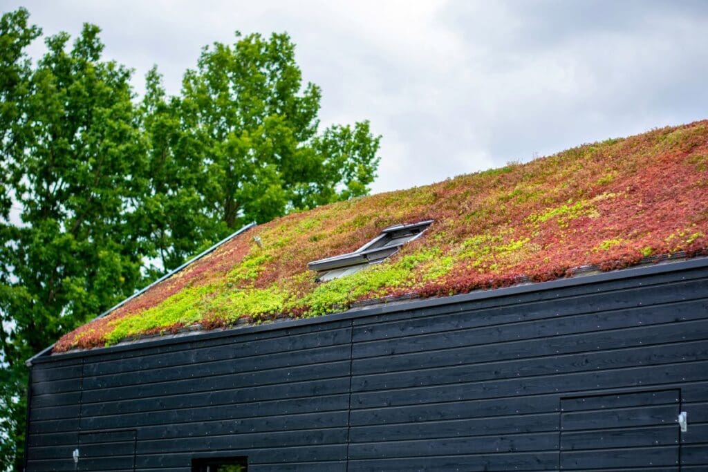 green roof maintenance garden on top of building