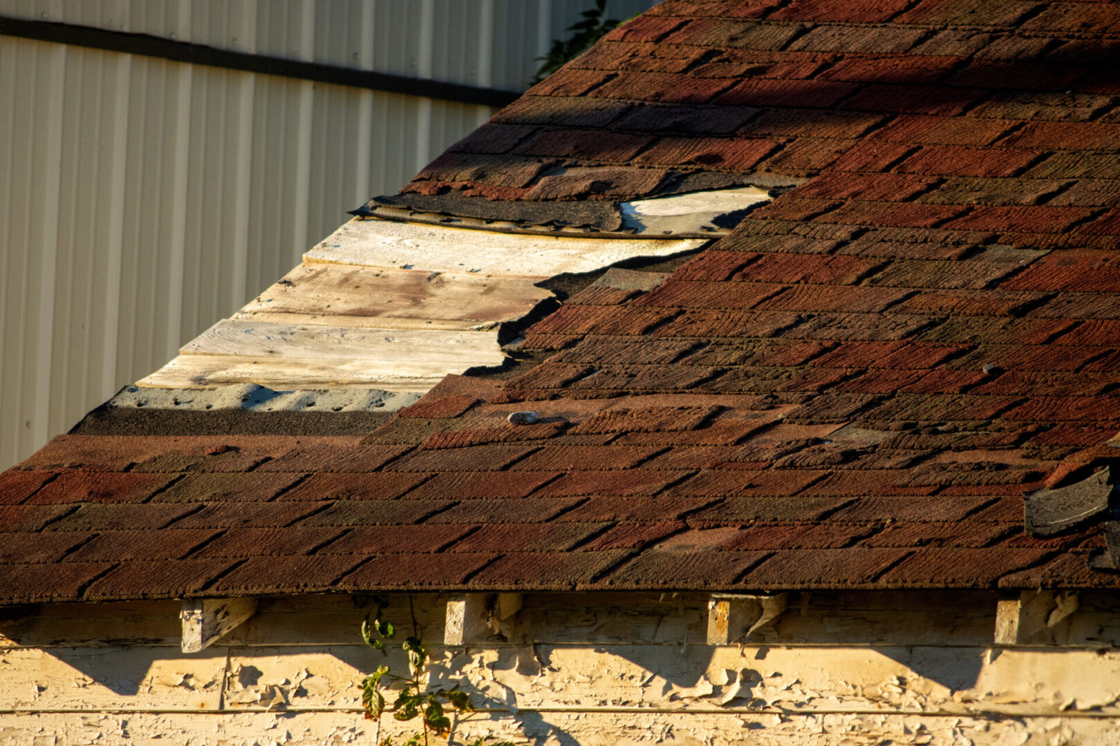 brown shingles damaged