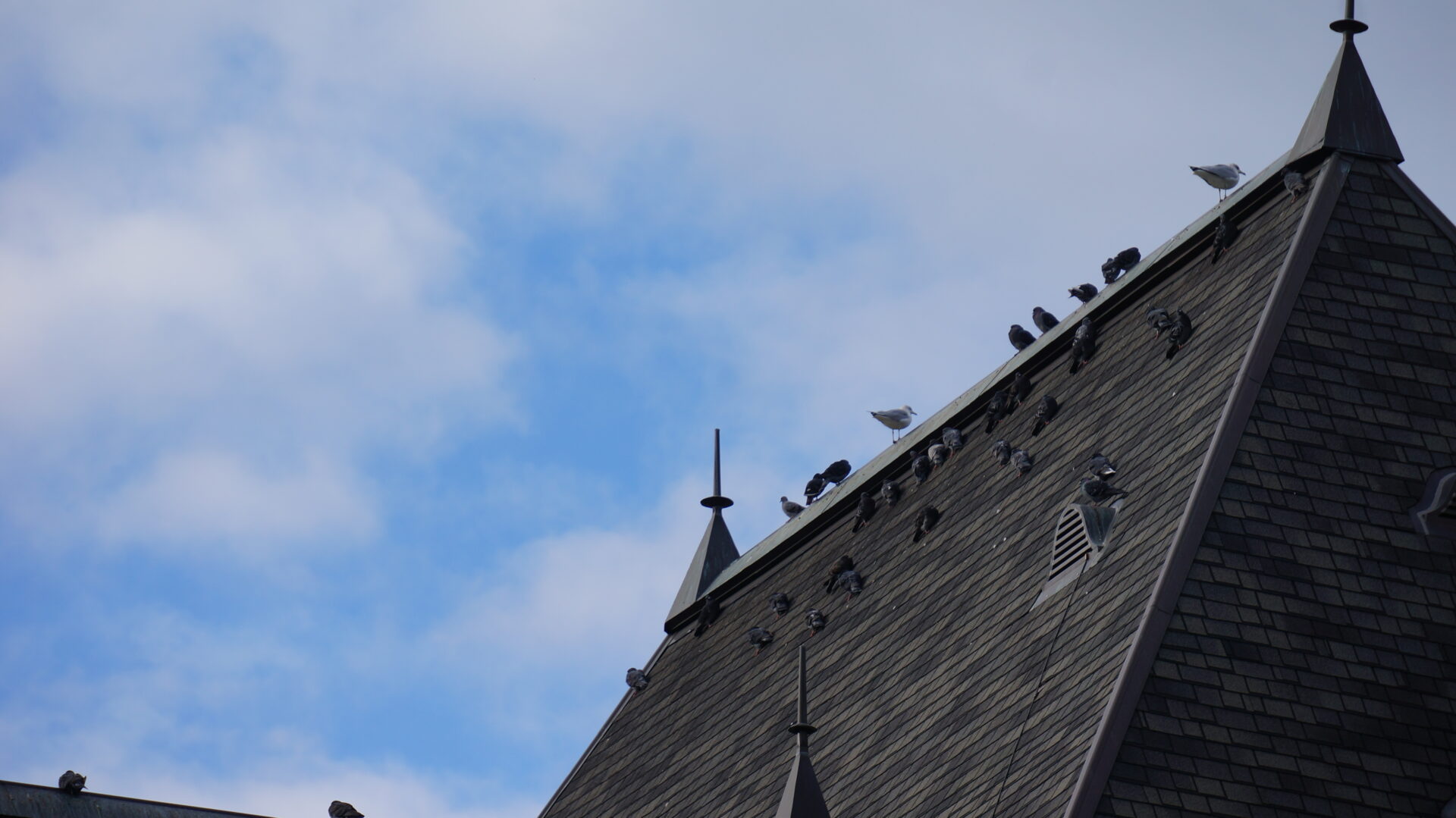 tower of the church grey roof church roofing somerville nj