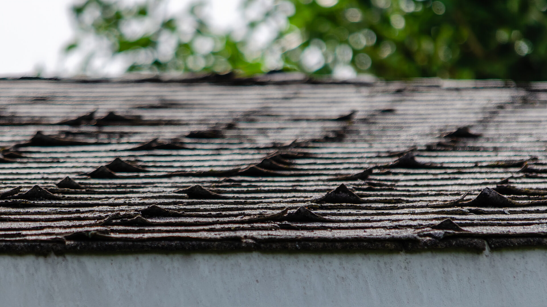 Close-up of curled roofing shingles on a residential rooftop