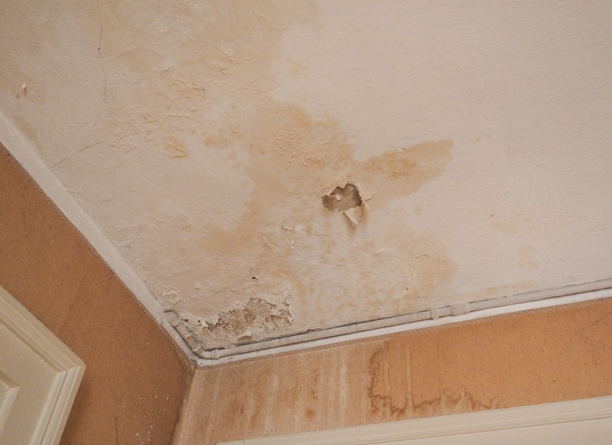 water stains on the ceiling