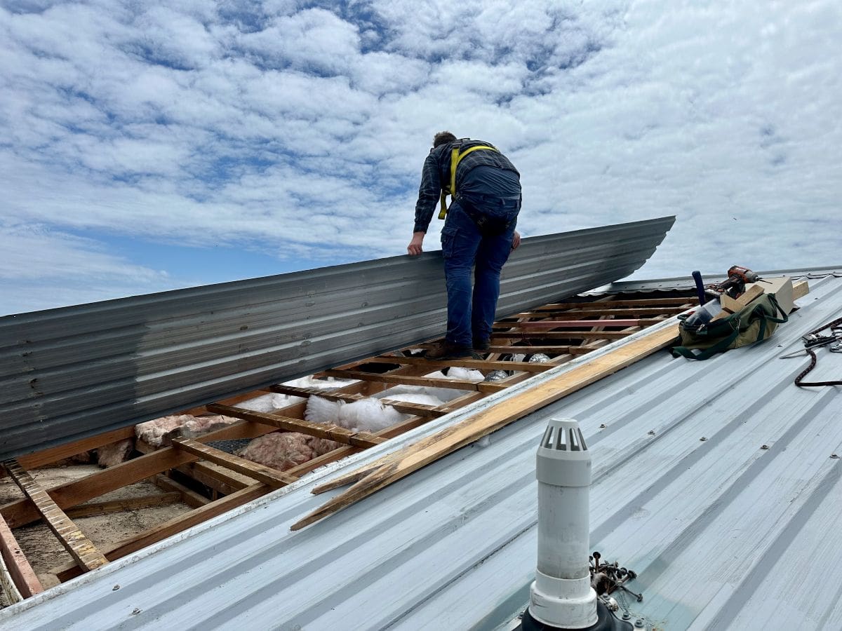guy replacing corrugated roof
