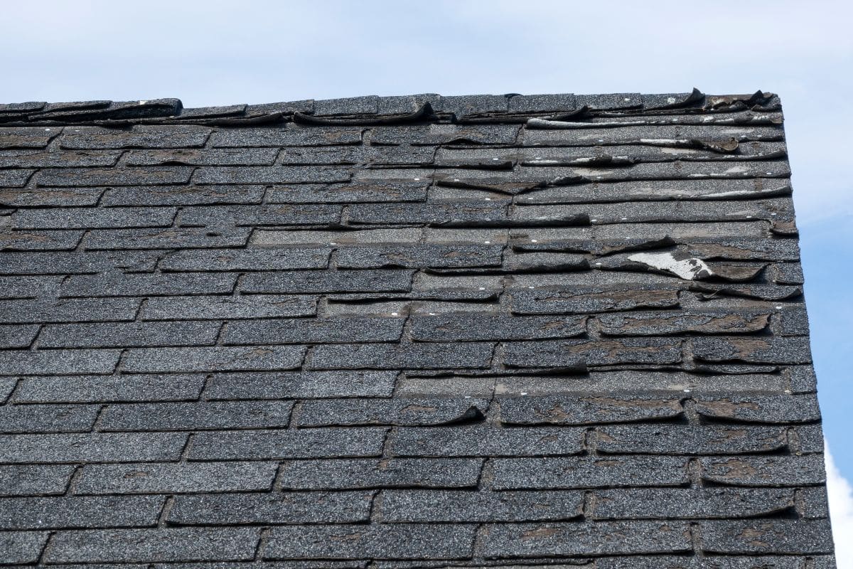 shingles old roof church roofing trenton nj