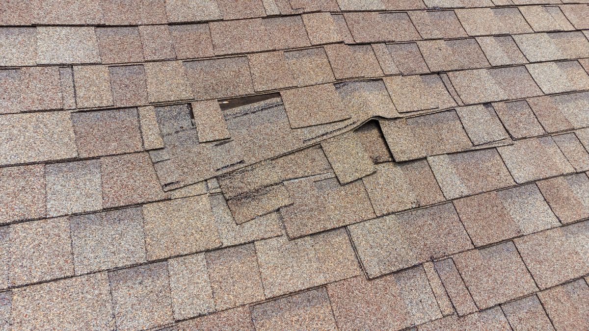 shingles roof damaged